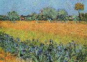 Vincent Van Gogh View of Arles With Iris china oil painting reproduction